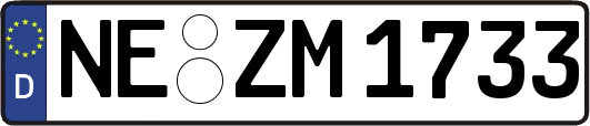 NE-ZM1733