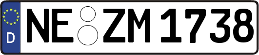 NE-ZM1738