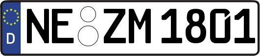 NE-ZM1801