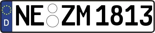 NE-ZM1813