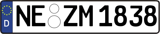 NE-ZM1838