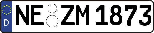 NE-ZM1873