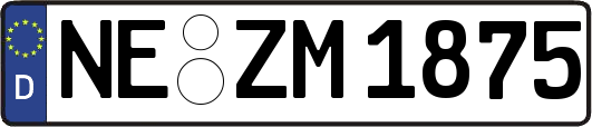 NE-ZM1875