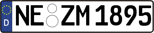 NE-ZM1895
