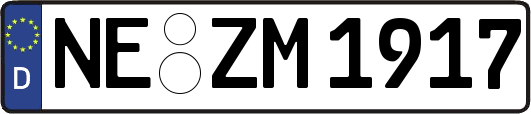 NE-ZM1917