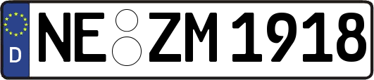 NE-ZM1918