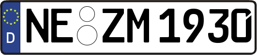 NE-ZM1930
