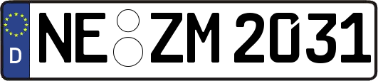 NE-ZM2031
