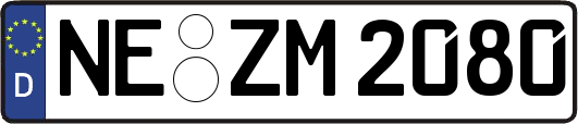 NE-ZM2080