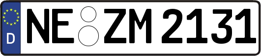 NE-ZM2131