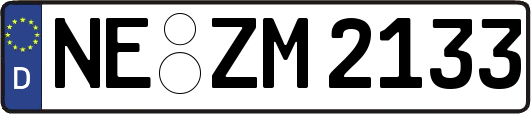 NE-ZM2133