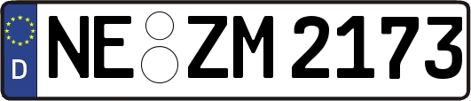 NE-ZM2173