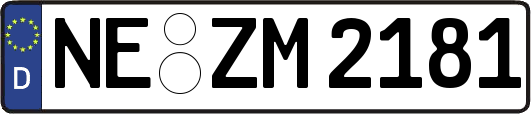 NE-ZM2181