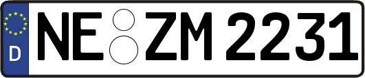 NE-ZM2231