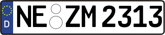 NE-ZM2313