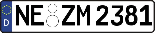 NE-ZM2381