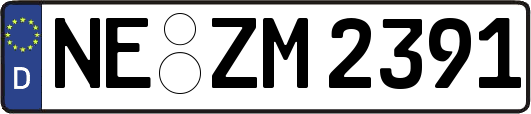 NE-ZM2391