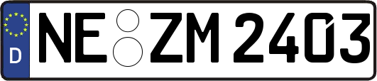 NE-ZM2403