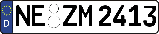 NE-ZM2413