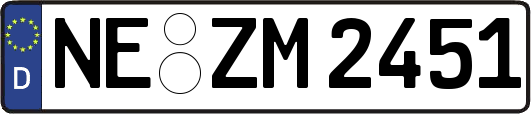 NE-ZM2451
