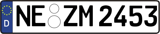 NE-ZM2453