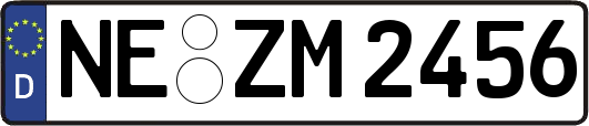NE-ZM2456