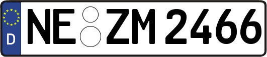NE-ZM2466