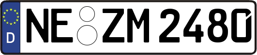 NE-ZM2480