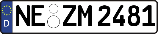 NE-ZM2481