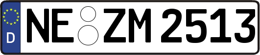 NE-ZM2513