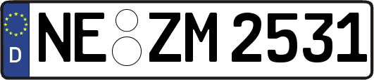 NE-ZM2531