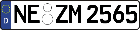 NE-ZM2565