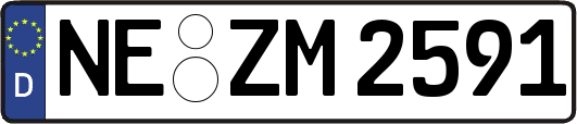 NE-ZM2591