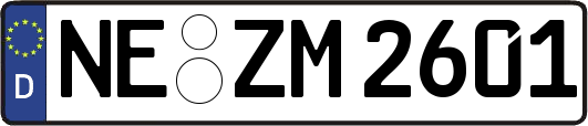 NE-ZM2601