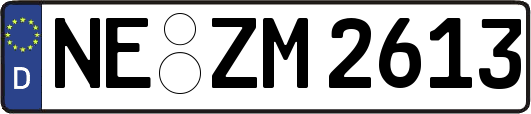 NE-ZM2613