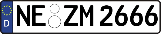 NE-ZM2666