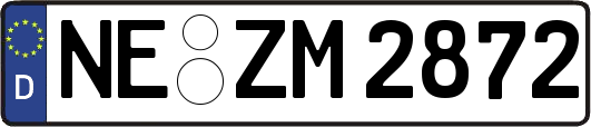 NE-ZM2872