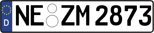 NE-ZM2873