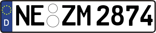 NE-ZM2874