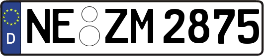 NE-ZM2875