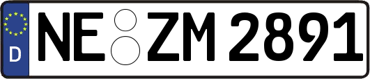 NE-ZM2891