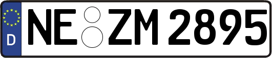 NE-ZM2895