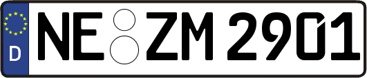 NE-ZM2901