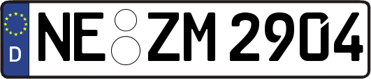 NE-ZM2904