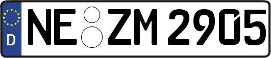 NE-ZM2905
