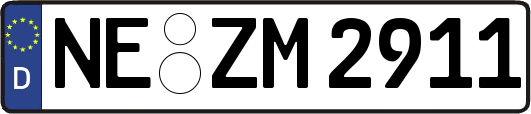 NE-ZM2911