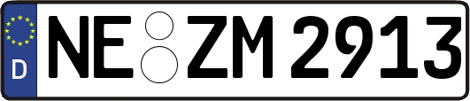 NE-ZM2913