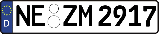 NE-ZM2917