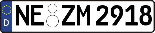NE-ZM2918