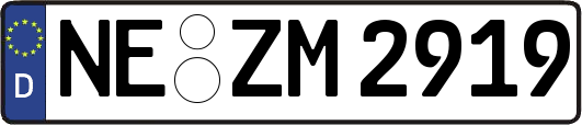NE-ZM2919